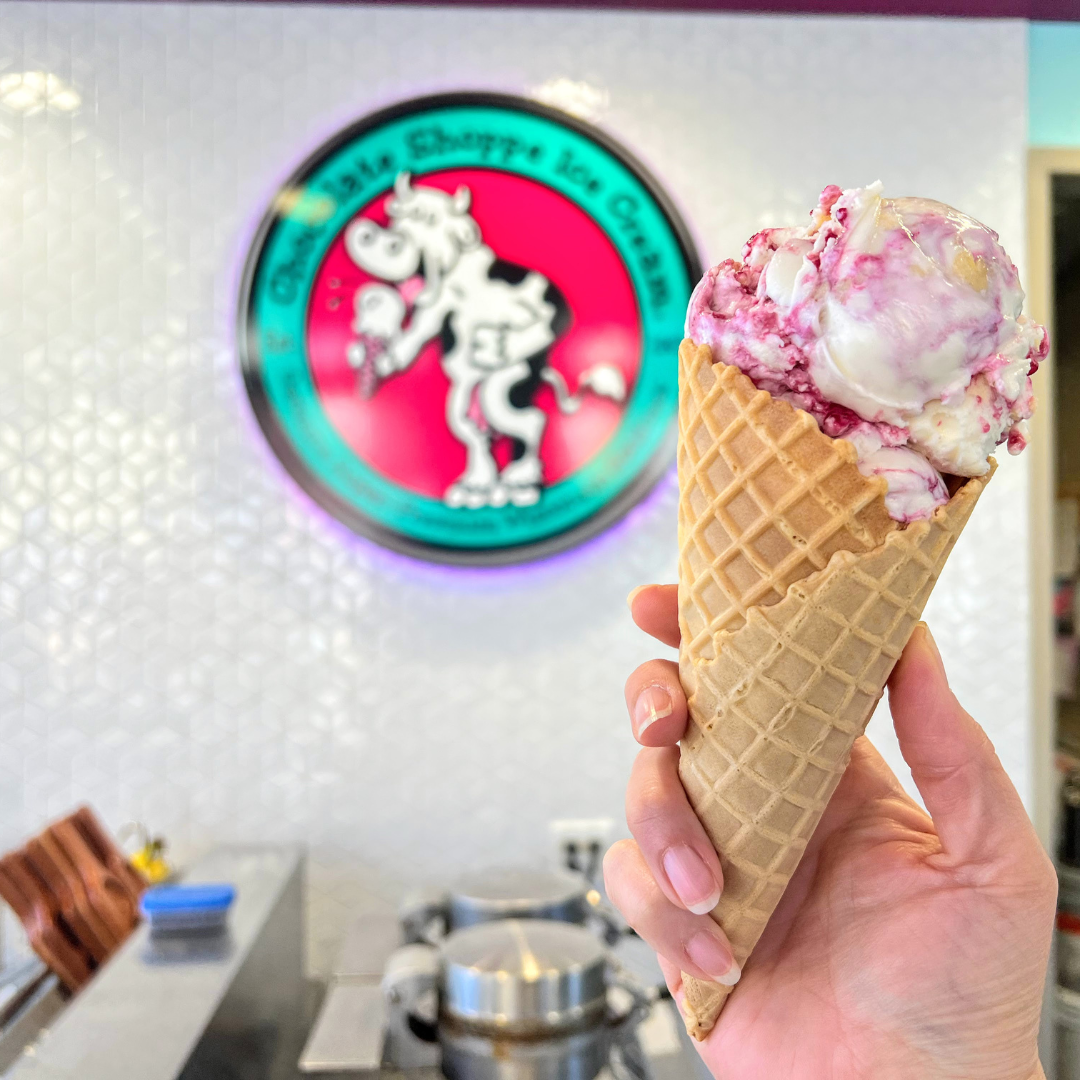 Blueberry Cheesecake Chocolate Shoppe Ice Cream