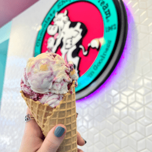 Blueberry Cheesecake