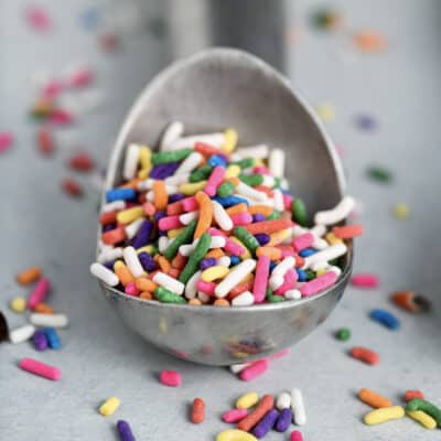 Ice cream scooper filled with sprinkles