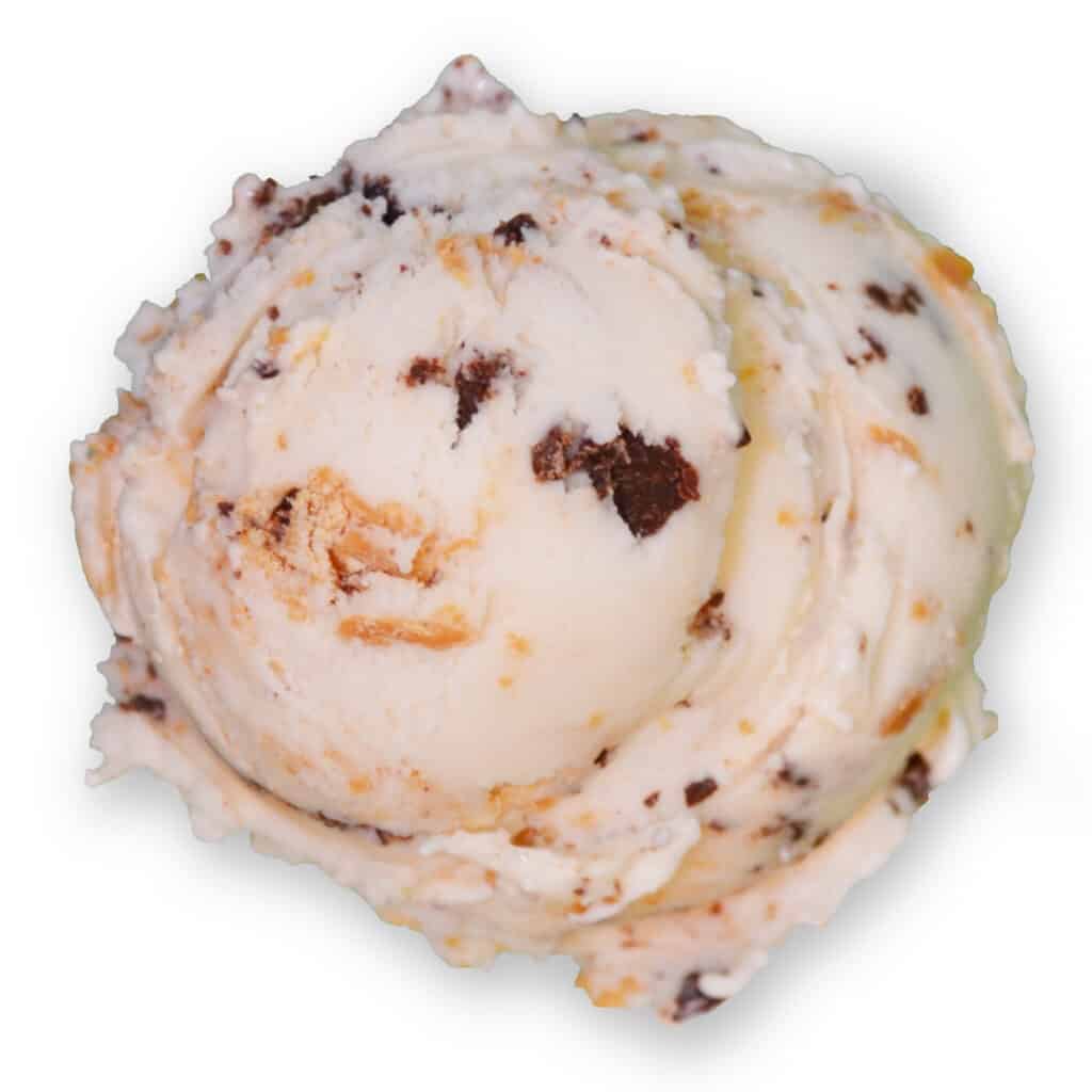 Fat Elvis – Chocolate Shoppe Ice Cream