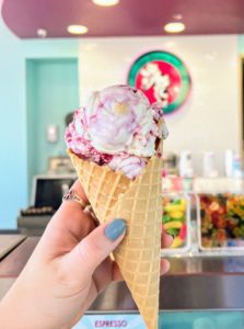 Wholesale Ice Cream - Chocolate Shoppe Ice Cream