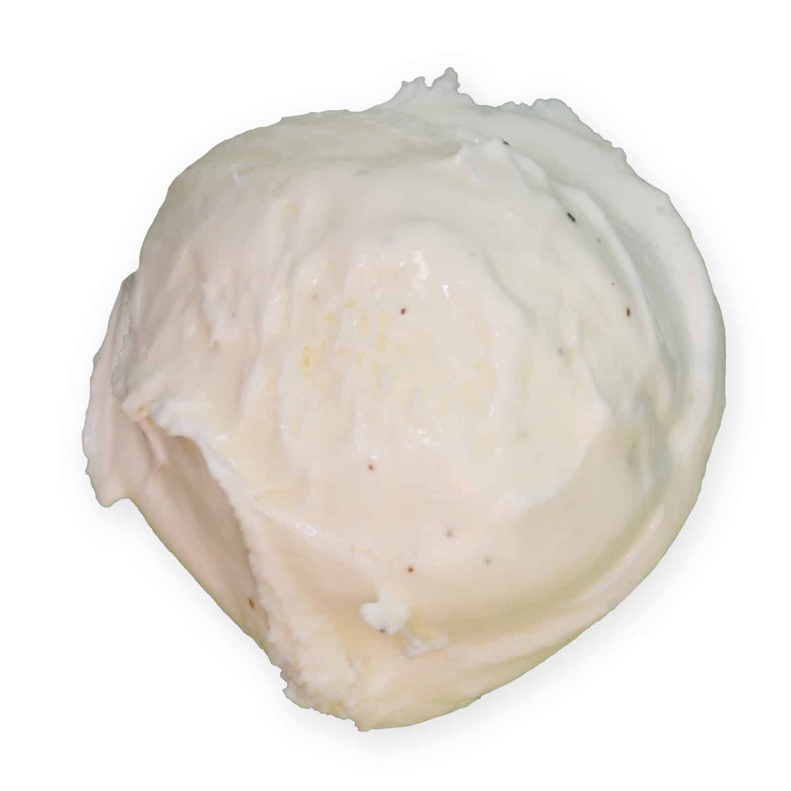 Vanilla Bean Chocolate Shoppe Ice Cream