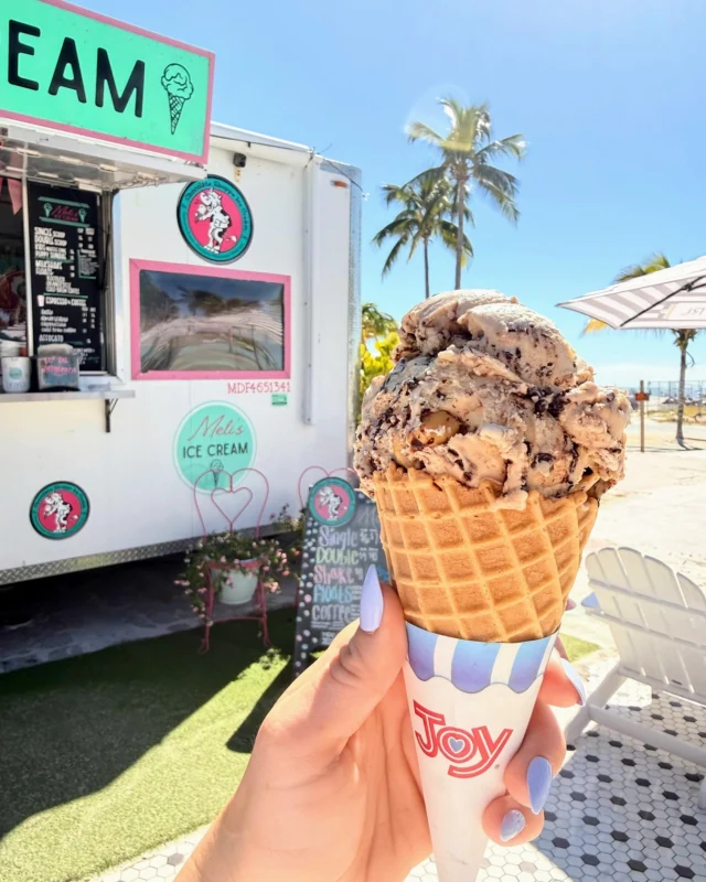 アイス アイス！ サングラスブランド IZONE NEW YORK | アイゾーンニューヨーク