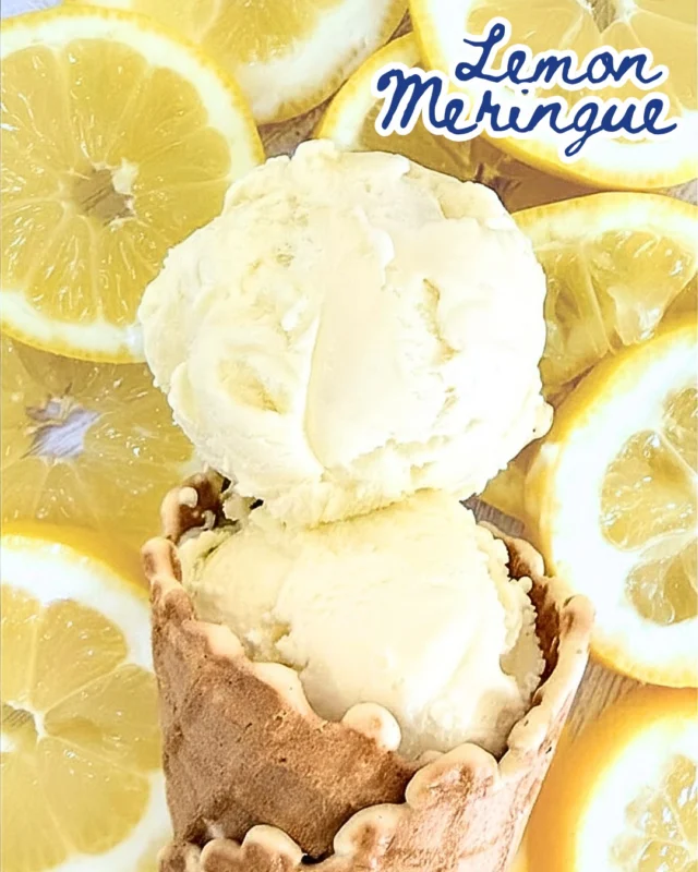 Zanzimint® – Chocolate Shoppe Ice Cream Zanzimint® – Chocolate Shoppe Ice Cream