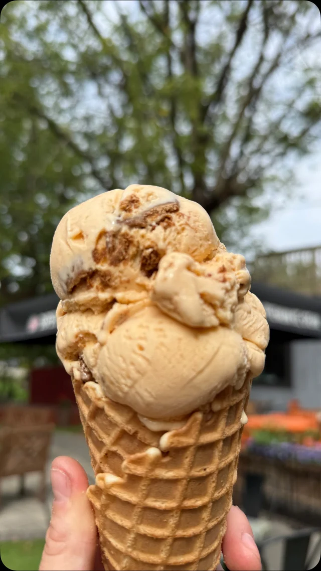 Zoreo – Chocolate Shoppe Ice Cream